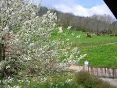 chambres d'h�te pr� vert gerbaix aiguebelette savoie