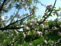 chambres et gite prevert gerbaix savoie