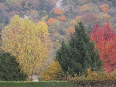 chambres et gite prevert gerbaix savoie